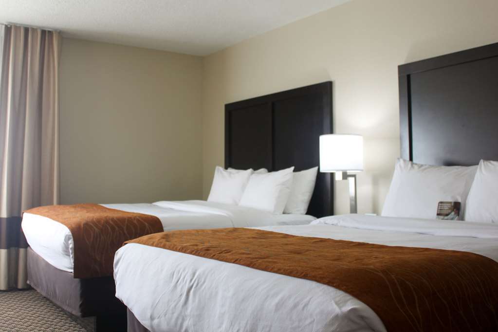 Comfort Inn Matteson - Chicago Quarto foto